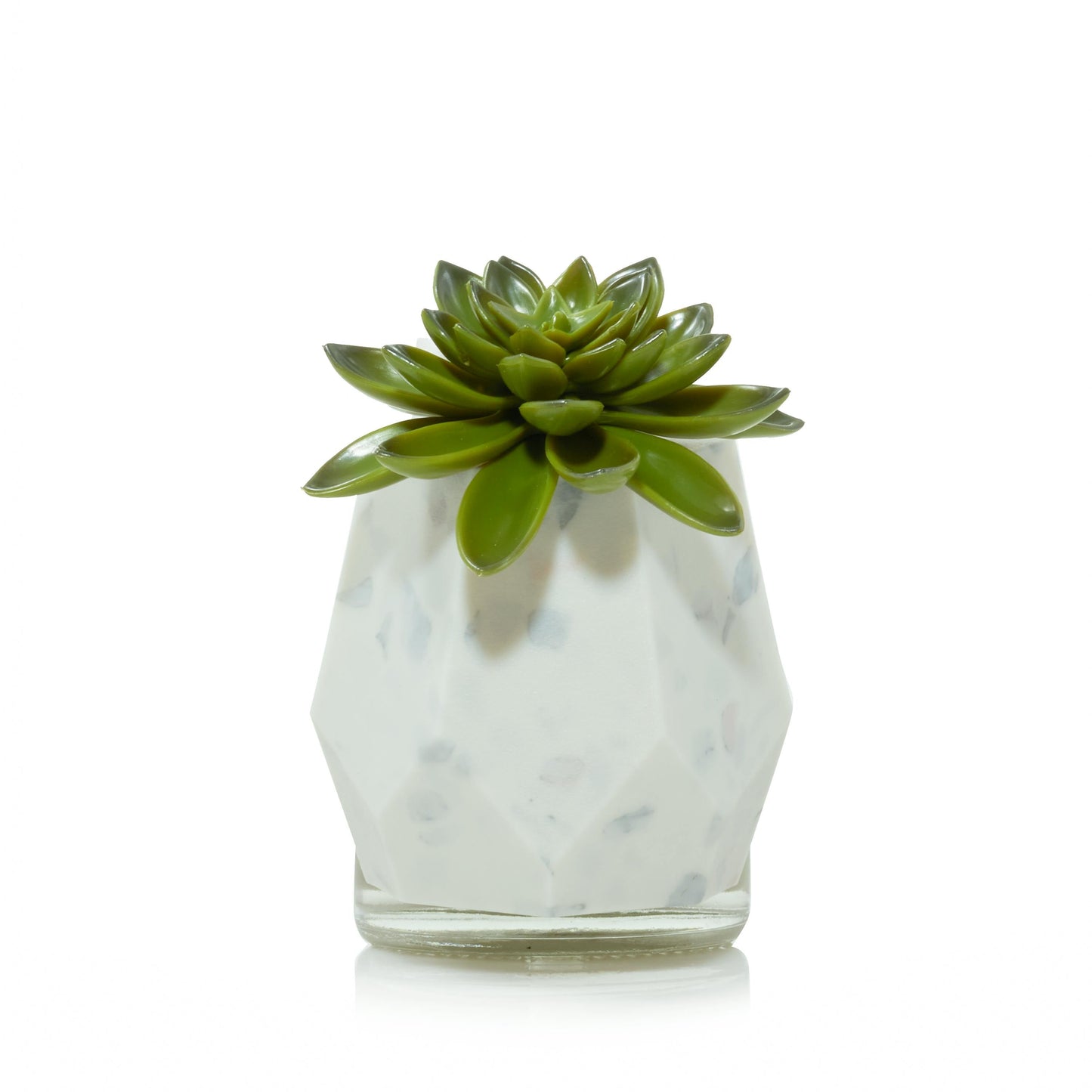 Faceted Succulent ScentPlug® Diffuser with Light