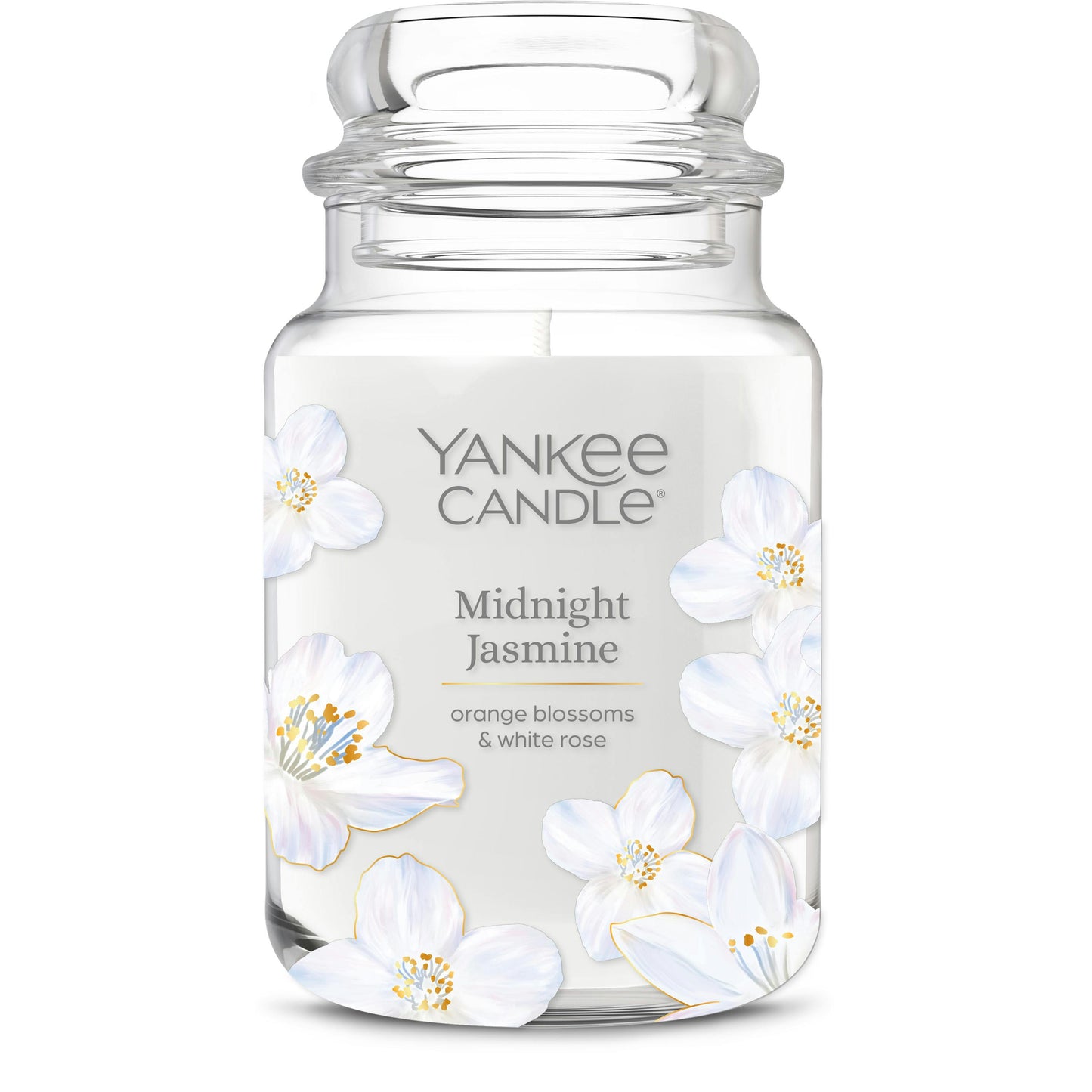 Midnight  Jasmine