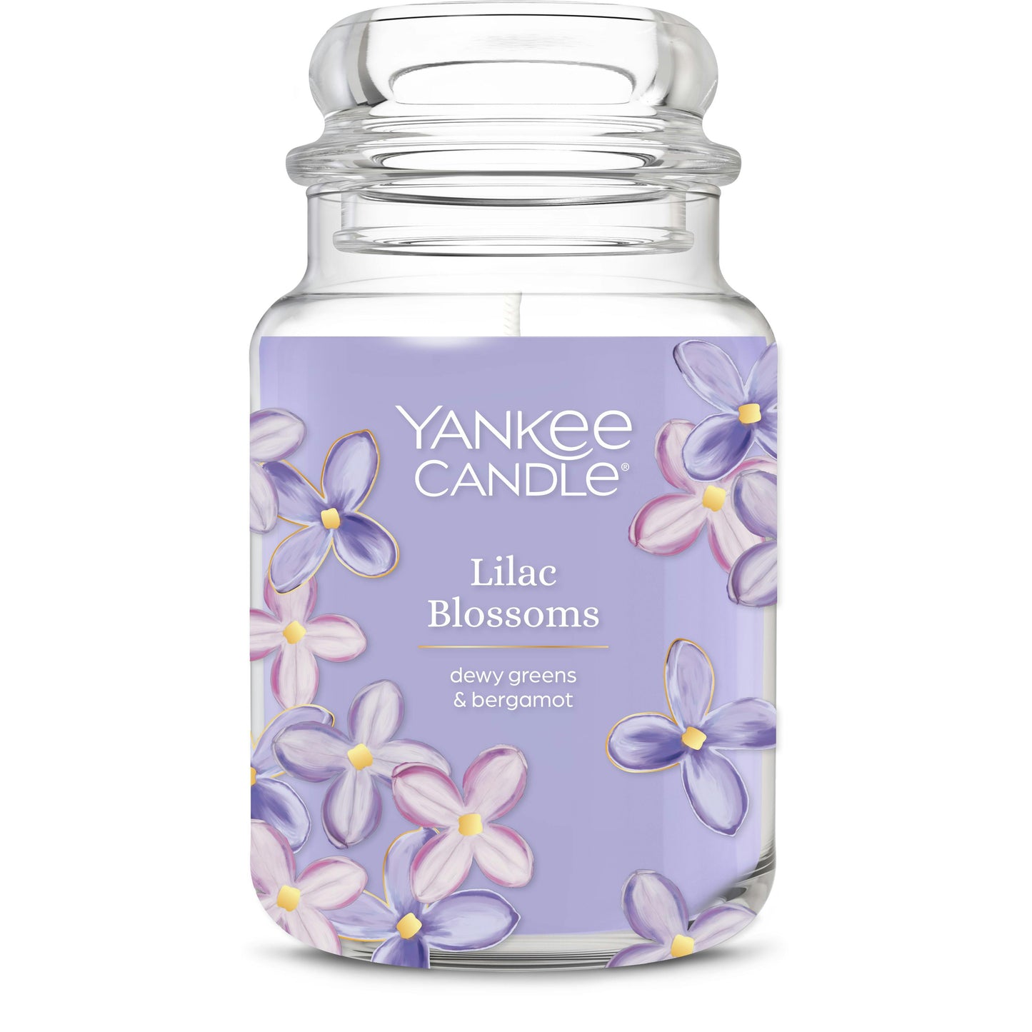 Lilac  Blossoms
