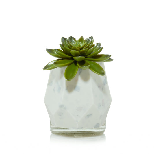 Faceted Succulent  ScentPlug® Diffuser with Light